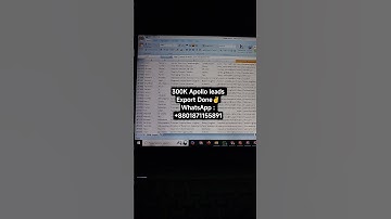 🔥 I Will Export 300K Verified B2B Leads from Apollo.io | Unlimited Leads Service