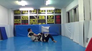Sambo 8