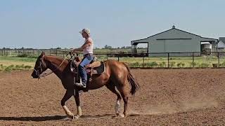 Nellie - 2 yr old filly, 10th ride