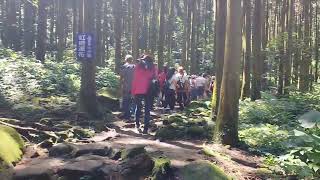 20220710 「馬武督探索森林」入口處的綠光小學及周邊景色，苔蘚植物讓我想起日本的屋久島