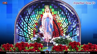 🔴🅻🅸🆅🅴 2023 Christmas MidNight Mass from Our Lady of Lourdes Shrine, Perambur @ArputharYesuTVStudio screenshot 5