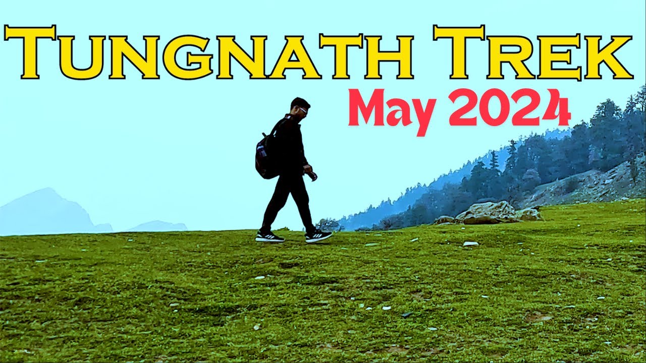 Tungnth Trek in May | Tungnath and Chandrashila trek 2024 | tungnath current weather