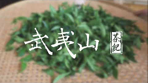 武夷山茶記—匠人精神，岩茶的製作 - 天天要聞