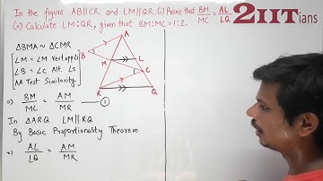 SIMILARITY Exercise 13.2 Q9 Class X ICSE | IIT JEE AB || CR and LM || QR.