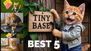🎬 Gingy Cat’s 7 Best Moments in 1 Cozy Video – Weekly Compilation Special #5 💛🐾