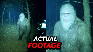 INCREDIBLE NEW BIGFOOT Footage Confirms They're Real