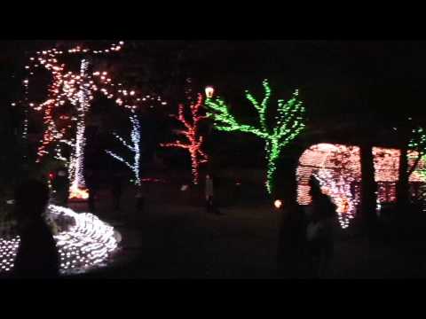 アルプスあづみの公園のイルミネーション2009 その1