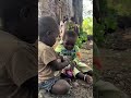 #africanvillagelife #animallife #animallife #animalkingdom #africa