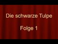 Alexandre Dumas d  Ältere: "Die schwarze Tulpe" (Folge 1)