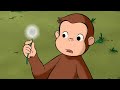 Keep Out Cows! 🐮 | Curious George | Cartoons for Kids | WildBrain Kids