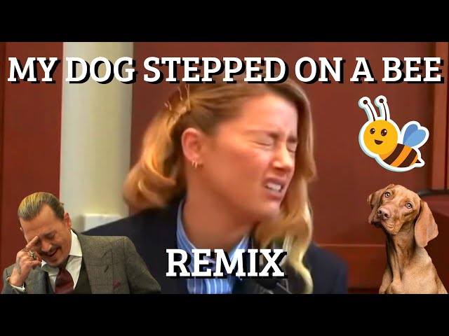 My Dog Stepped On A Bee (OKIN Remix) (Official Video) 