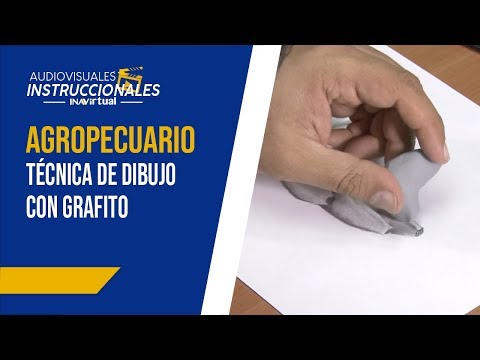 Video: ¿Cómo dibujar una camisa para hombres y mujeres? Un sencillo tutorial te enseñará