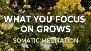 Retrain Your Brain to See Possibility | Reticular Activating System Meditation