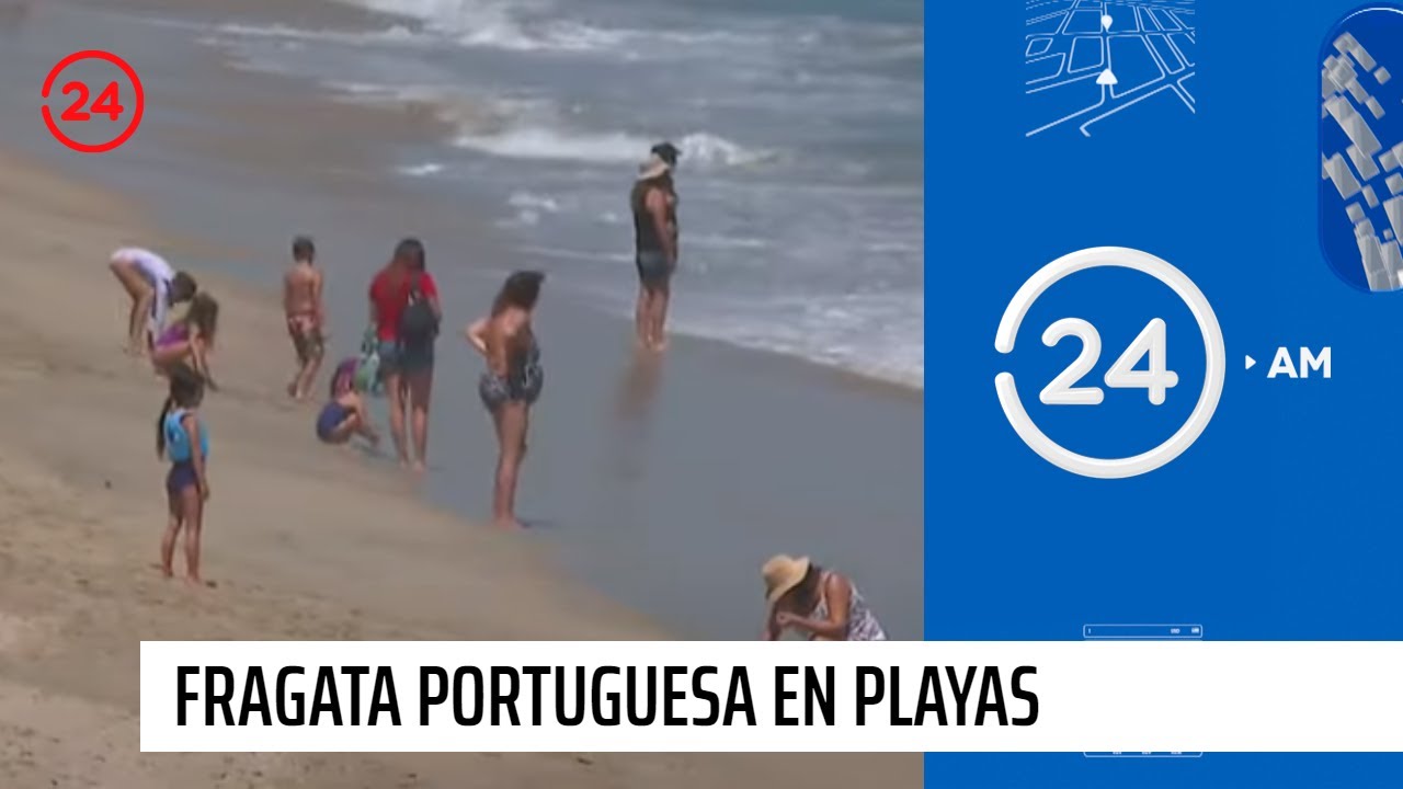 Prohibición de baño en siete playas del país por fragata portuguesa | 24 Horas TVN Chile