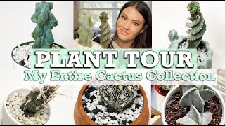 HOUSE PLANT TOUR / MY ENTIRE CACTUS COLLECTION 🌵
