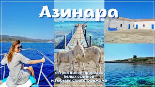 Остров Азинара - национальный парк и нетронутая природа Сардинии