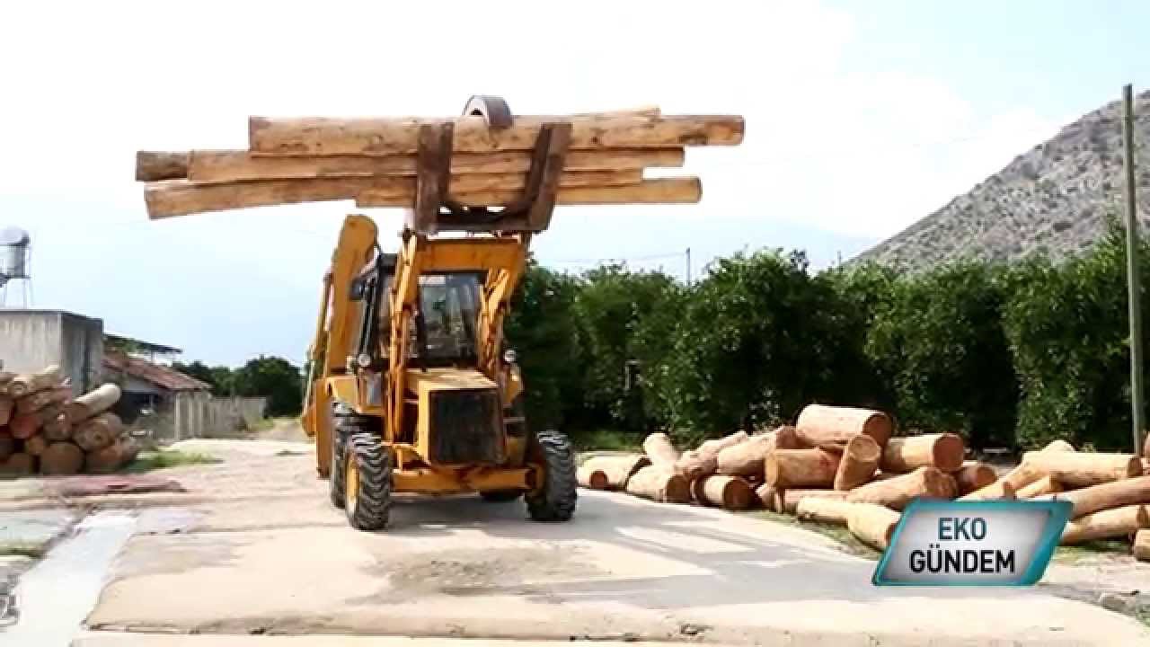 Toksöz Arı Kovanı