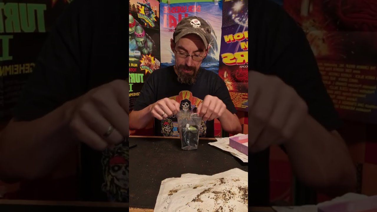 General Q&A, Sowing Out: Cactus Jerk (Patrick Noll) Livestream November 16th