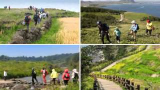 Jeju Convention & Visitors Bureau (JEJU ISLAND, SOUTH KOREA)
