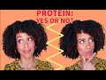 Should You Use Protein on Low Porosity Hair?