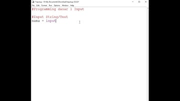Input String dan Angka Python