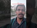 100% true 👍 #youtubeshorts #viralvideo #viral #shortvideo #shorts