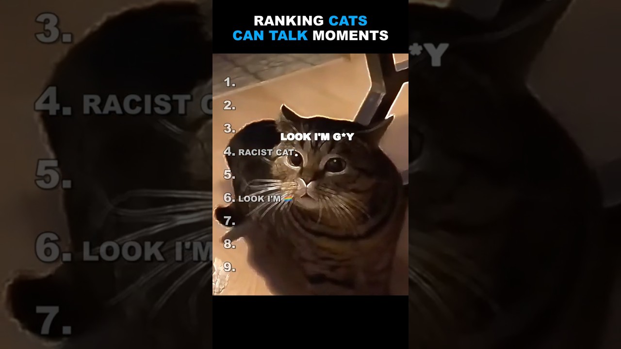 Ranking Cats Can Talk Moments