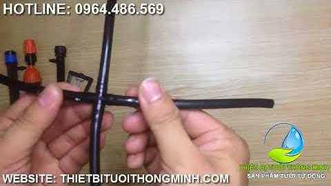 Hướng dẫn lắp thập nối 4 đầu ống 6mm(6ly) tưới cây tự động