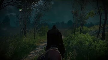 Witcher 3 Enhanced Edition - Killing Monsters (Combat gameplay, Contract)