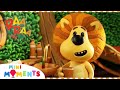 Get Ready With Raa Raa Raa Raa The Noisy Lion Full Episodes Mini Moments Get Ready With Raa Raa Raa Raa The Noisy Lion Full Episodes Mini Moments
