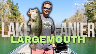 Lake Lanier KICKER Largemouth Bass on Swimbaits