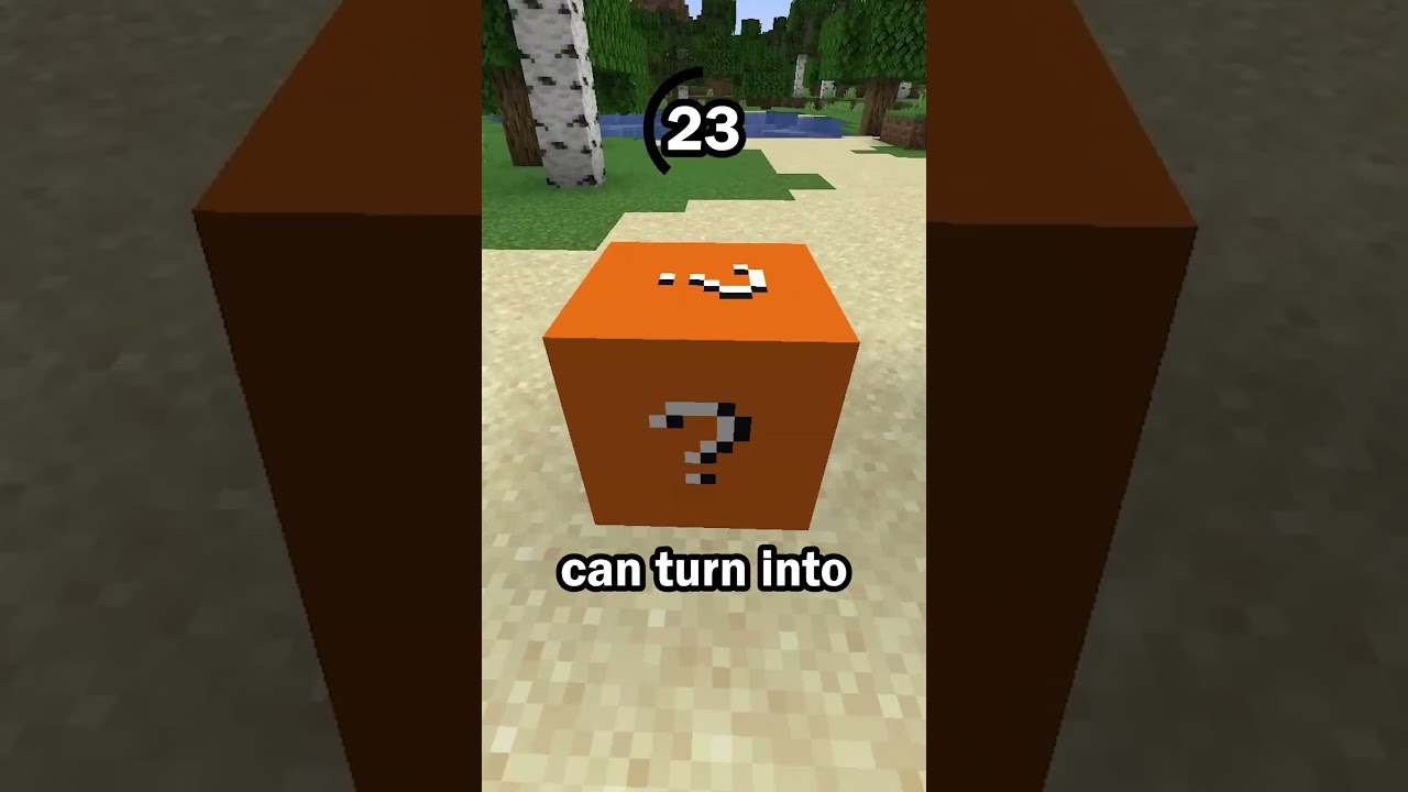 Guess the Minecraft block in 60 seconds 81