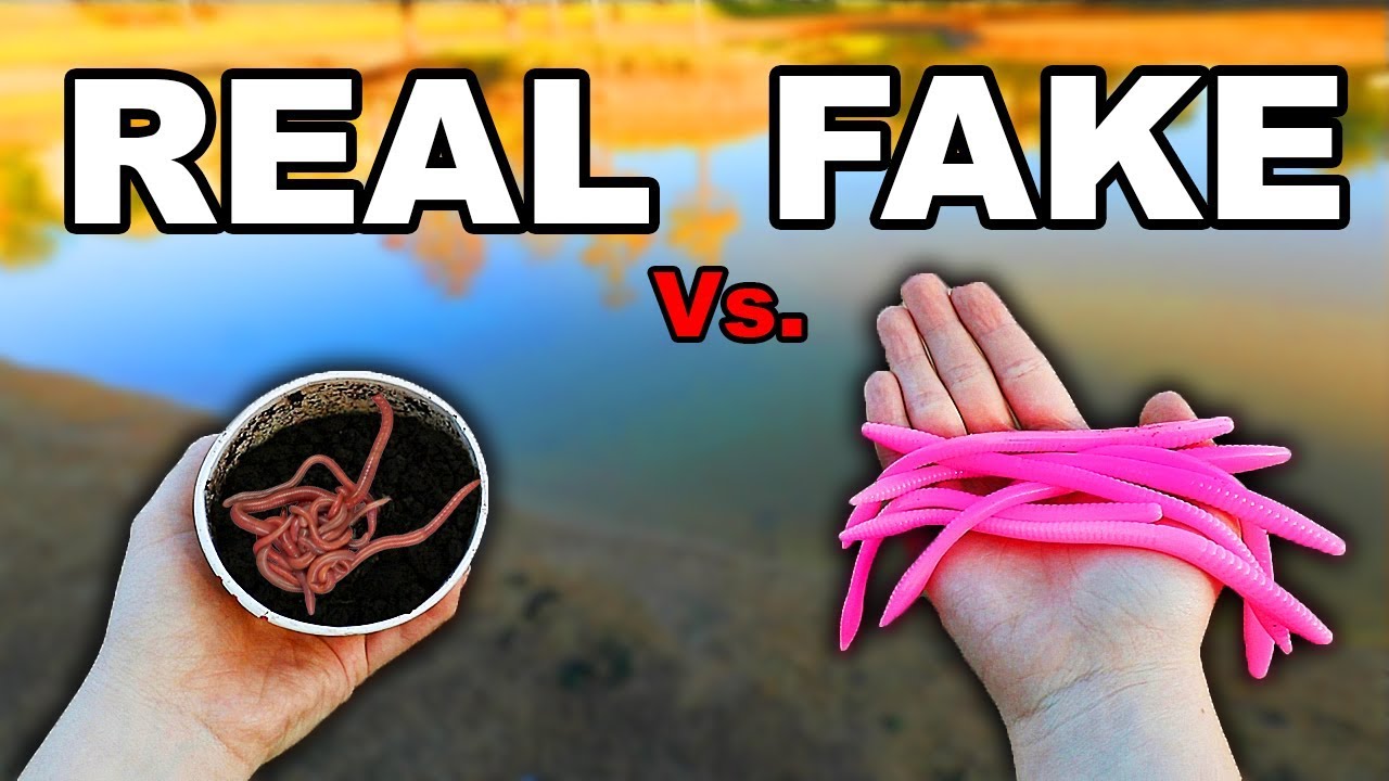 Are Worms Better Than Lures?