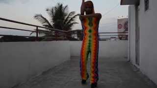 Celebrity Recycled Boogie with BBoy Salam and Lord von Schmitt Net Worth