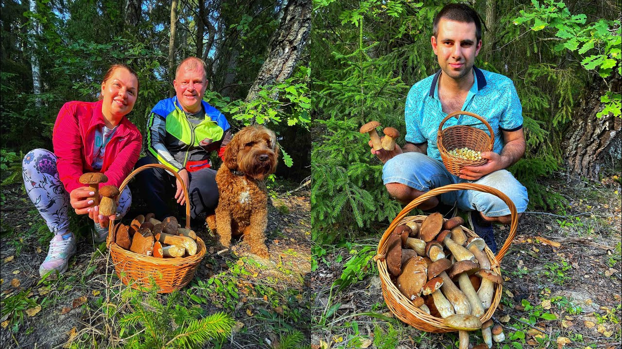 Гриблен. Грибать. Грибает.