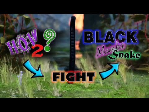 How to Survive the Black Mamba Fight | AWAY: The Survival Series Boss Guide