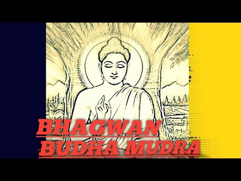 Unveiling the Hidden Power of Yoga Mudras: Revealed to Only 1% of People
