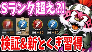 【ドラクエタクト】ステ比較&検証☆桜虎丸とセラフィに特技習得⁉︎最後に闘技場でも実践火力を見ていきます‼︎｟DQTACT｠タクト