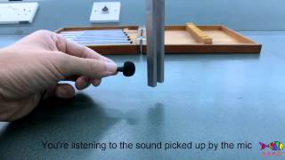 Superposition: Tuning Fork Directivity Pattern    xmdemo 022
