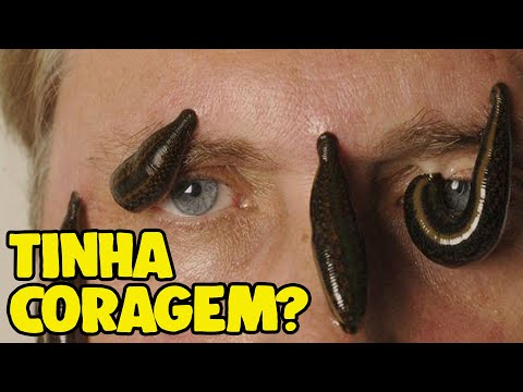 Vídeo: Tratamento Com Sanguessugas (hirudoterapia) - Visão Alternativa