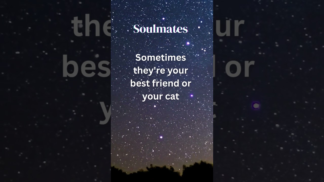 Soulmates 