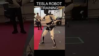 Celebrity Tesla Optimus Learns Kung Fu! 🤖🥋 | Next Level Humanoid Robot #shorts #viral #robot Net Worth