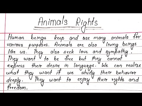 essay about animal rights