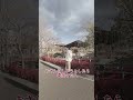お散歩しようとしてたら突然電話きた#あつこお姉さん