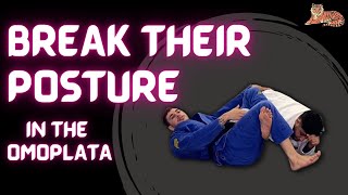 Breaking Opponents Posture In The Omoplata and Control Mechanics