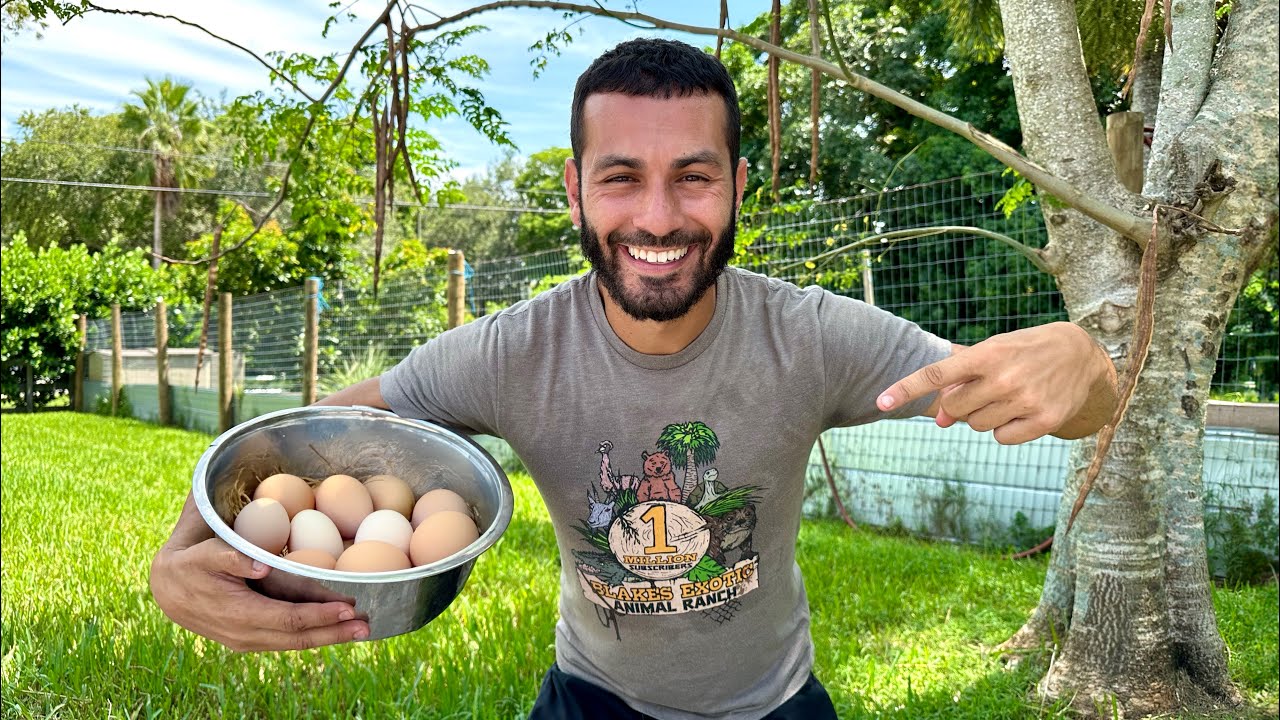 Finding All the Eggs on the RANCH! IRL