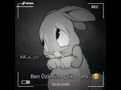 Ben özledim qaliba seni