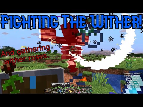 Minecraft: How to Kill The Wither (And Farm Wither Roses)