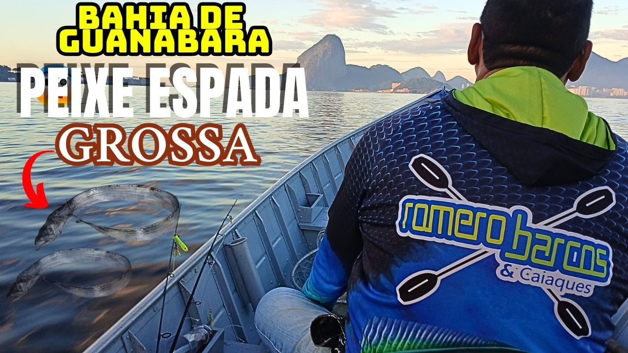 PEIXE ESPADA GROSS NA BAHIA DE GUANABARA FIZGADA BRUTA