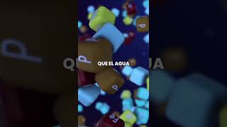 🌊 El plasma marino siempre fue sanador